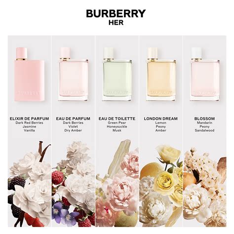 burberry her eau de parfum spray details|burberry perfume her collection.